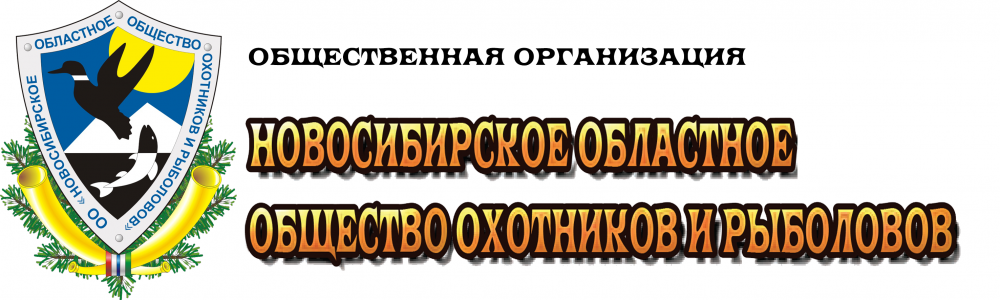 Логотип-цвет.png