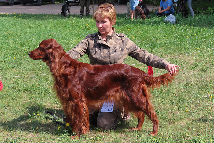 Айсберри Змний Сад.JPG