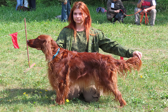 Лаффи Сити оф Энжелс.JPG