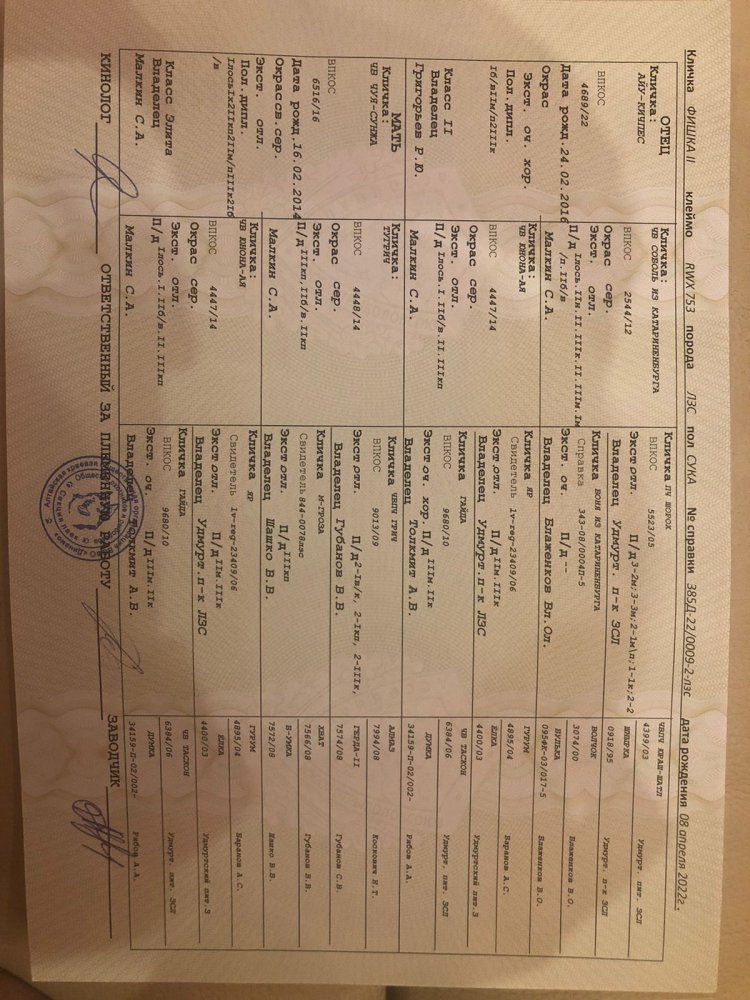 WhatsApp Image 2022-06-24 at 11.14.49.jpeg