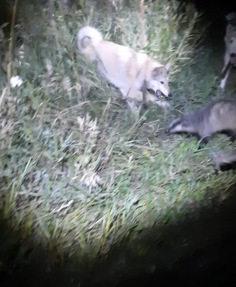 Screenshot_20220820-090014_Video Player.jpg