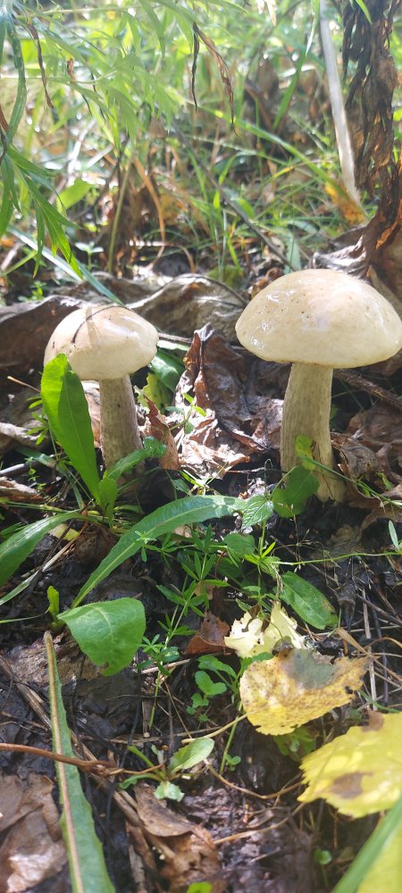 20220827_113459.jpg