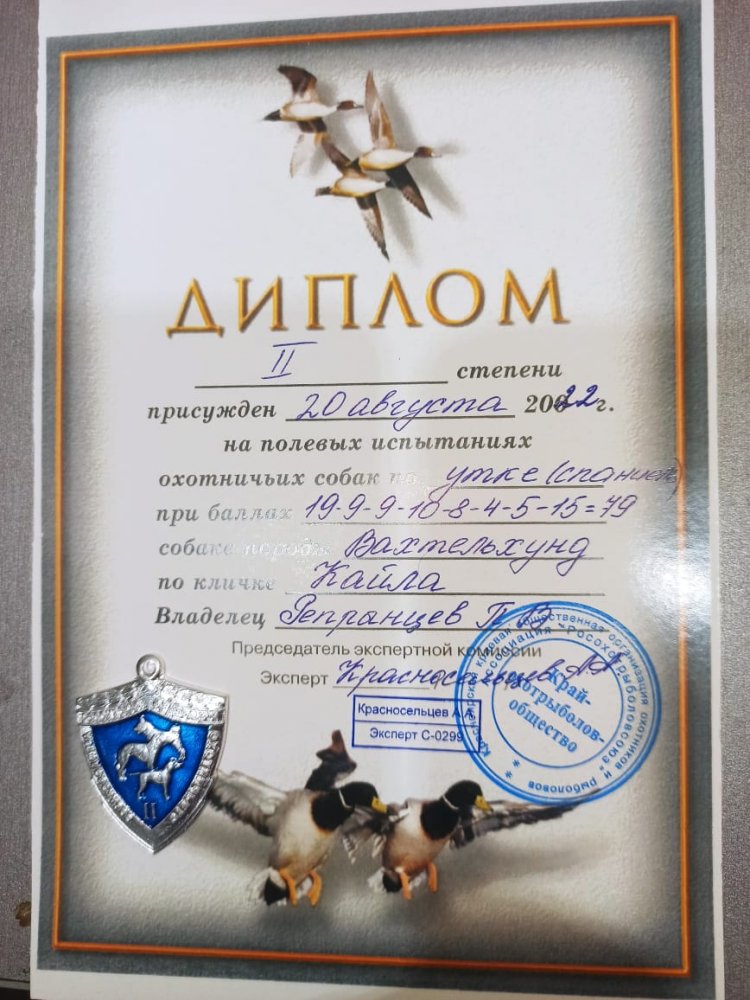 IMG-20220826-WA0000.jpg