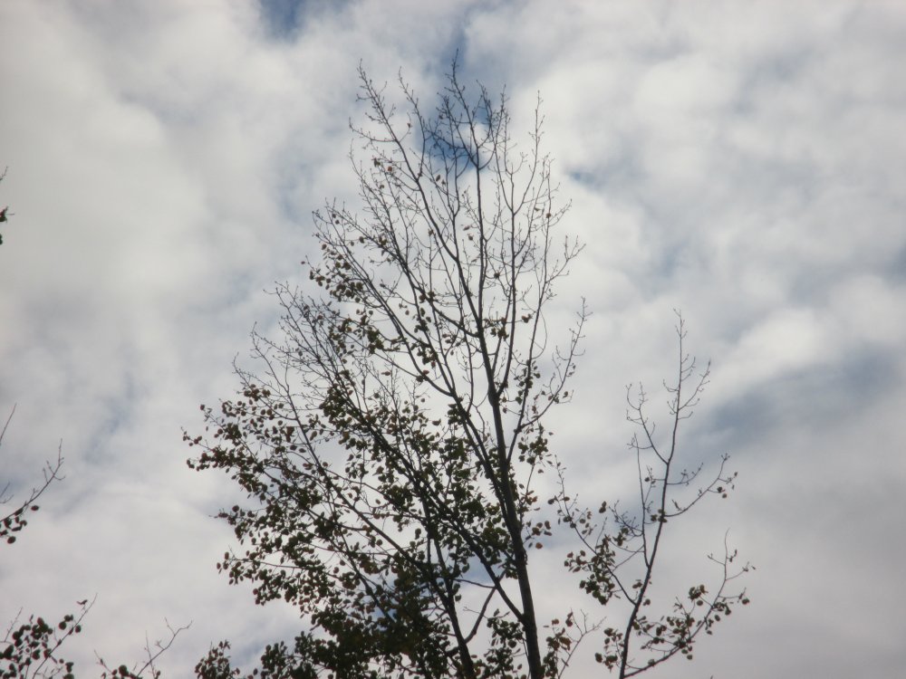 IMG_5516.JPG