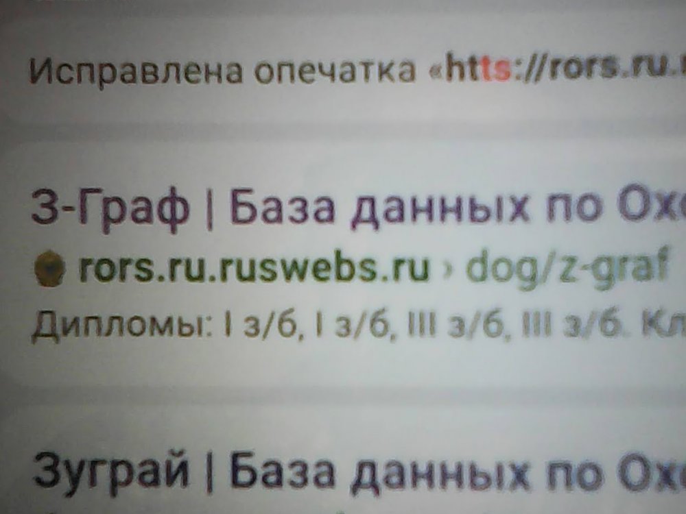 IMG00906.jpg