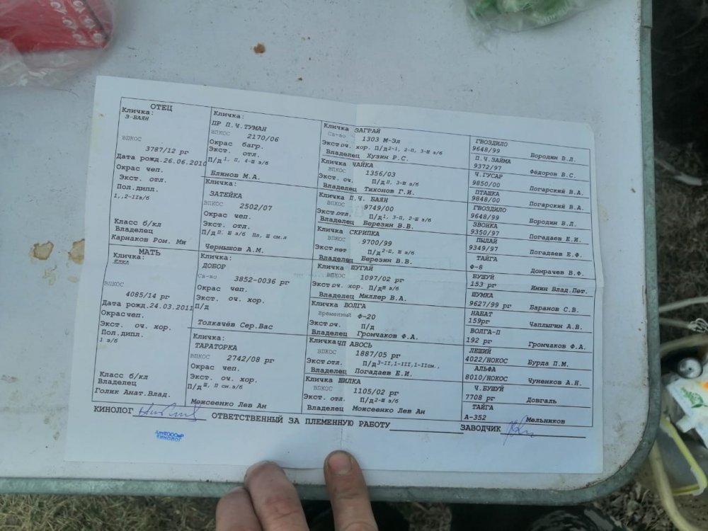 IMG-20210425-WA0014.jpg