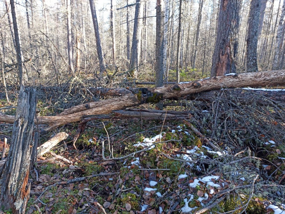 IMG-20221004-WA0007.jpg