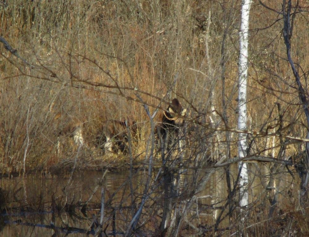 IMG_3163.JPG