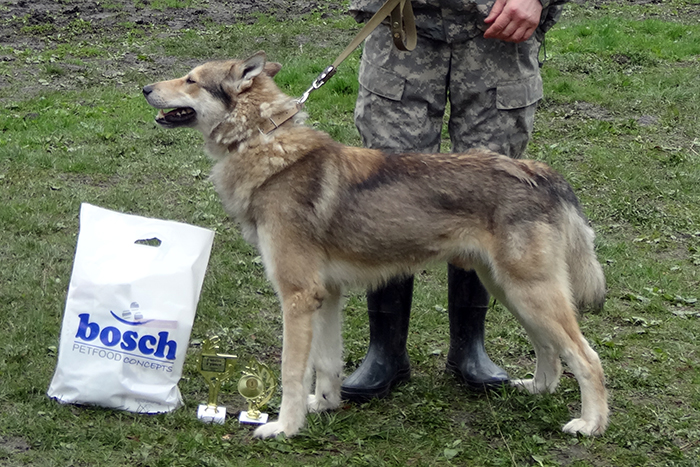 хан микушин04239.JPG