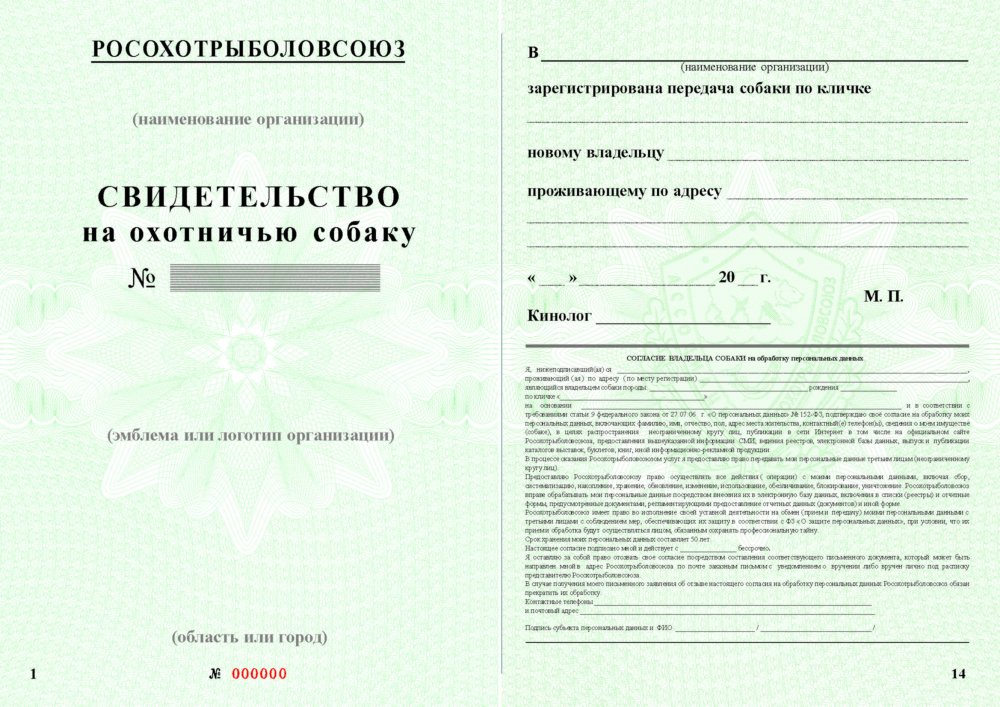 фон2 (1-14).jpg