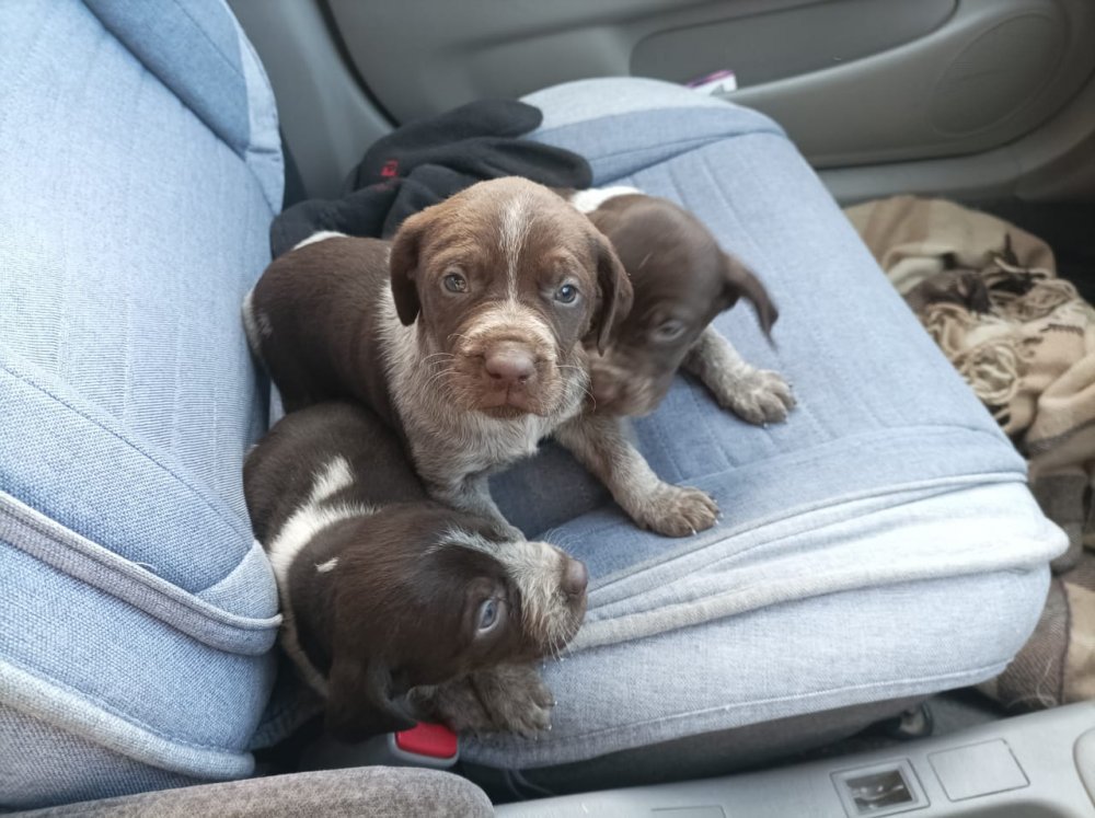 WhatsApp Image 2022-11-27 at 13.19.27.jpeg