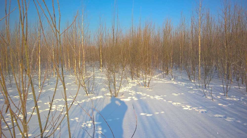 Осталось только светофор поставить.jpg