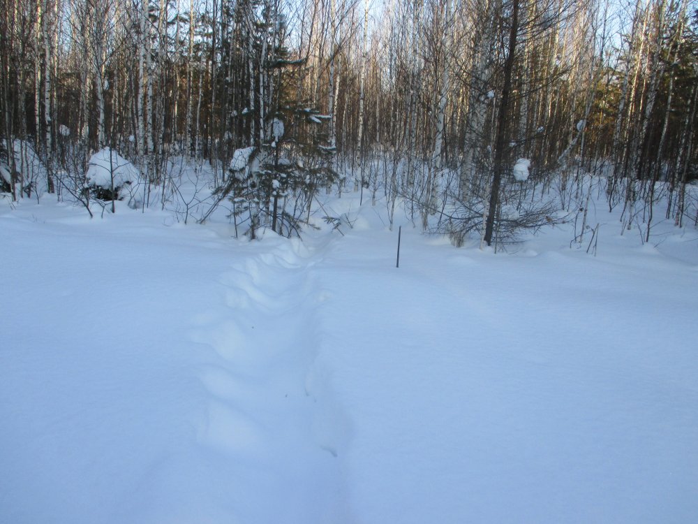 IMG_5772.JPG