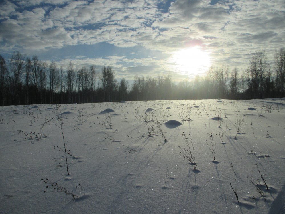 IMG_5778.JPG