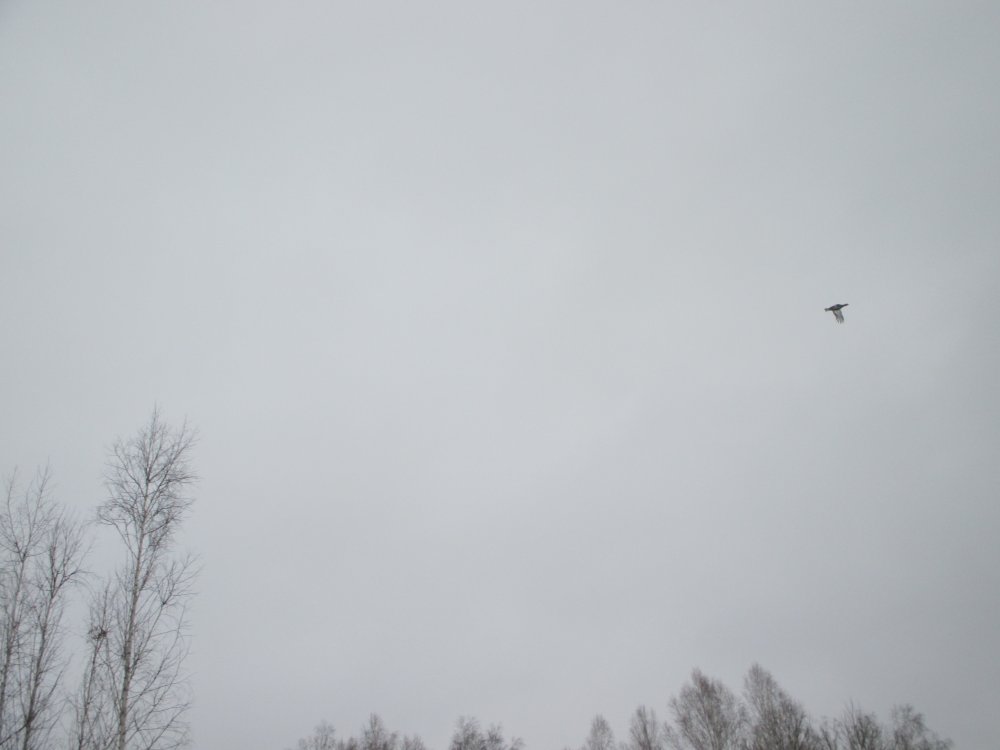 IMG_5825.JPG