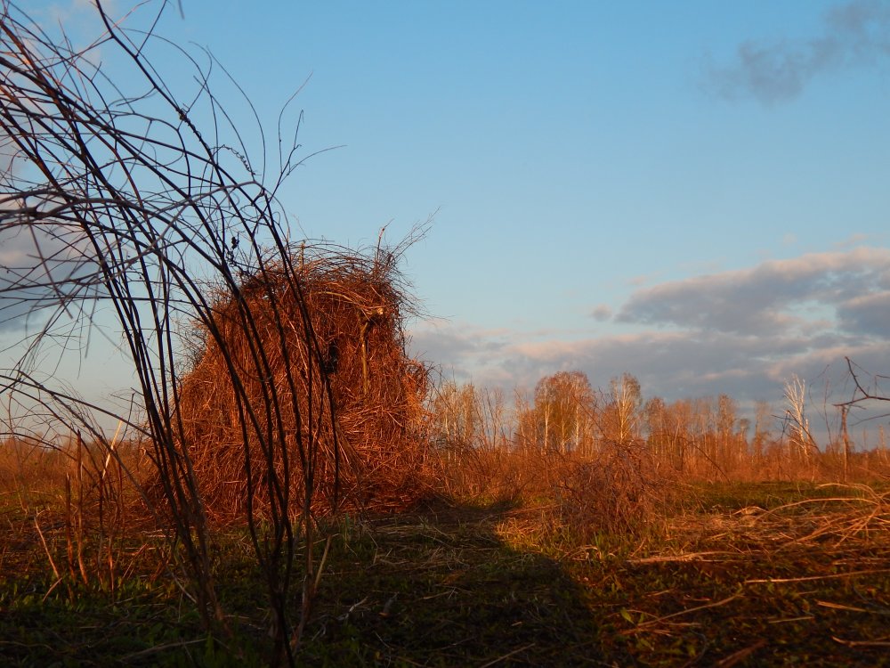 DSCN3376.JPG