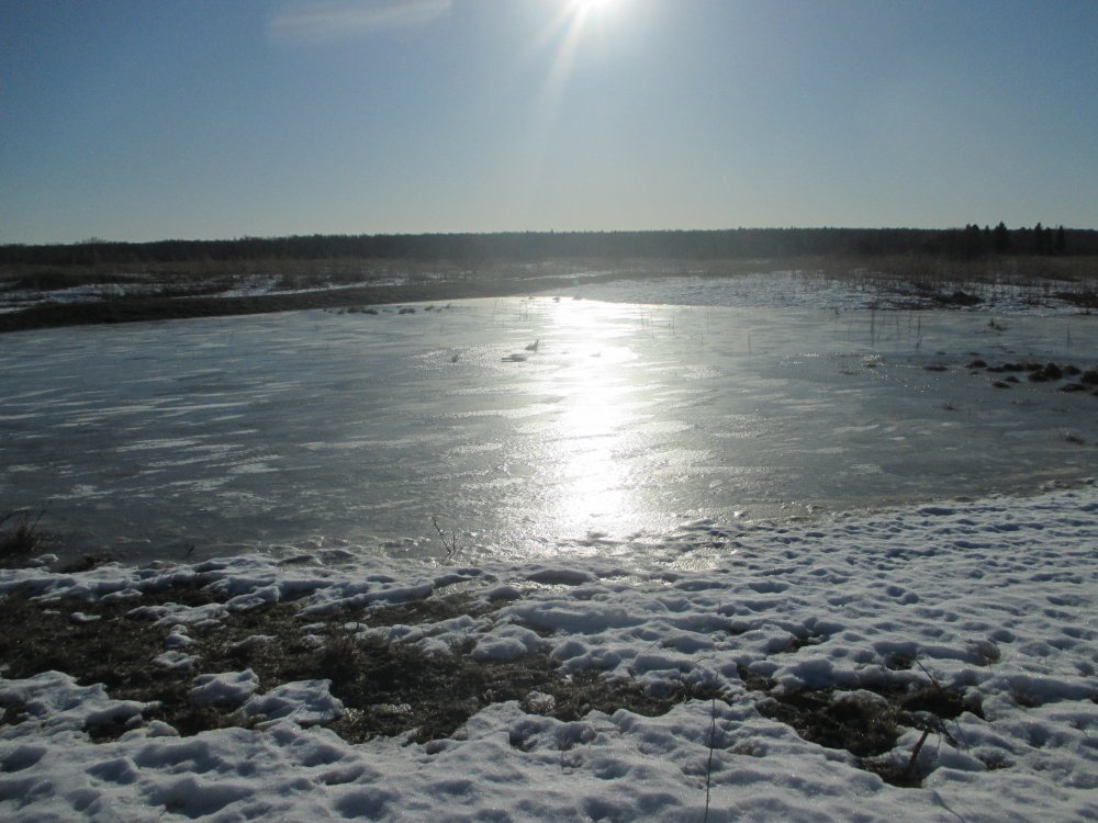 IMG_5903.JPG