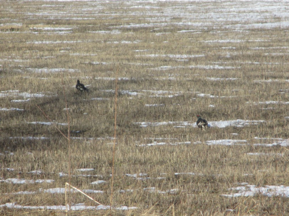 IMG_5977.JPG