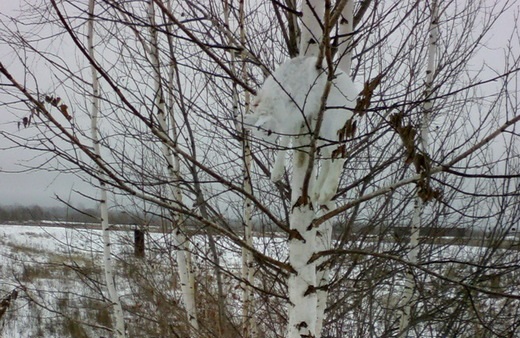 2008-12-ea2dc1f28e7f09a4acc4e3f677dd5dde__rsu-1000-800 (2).jpg