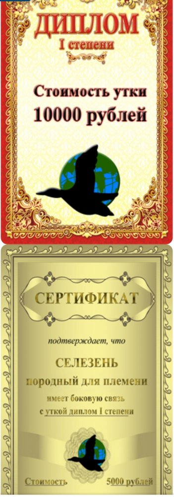 Screenshot_2023-06-12-00-26-46-551-edit_ru.yandex.searchplugin.jpg