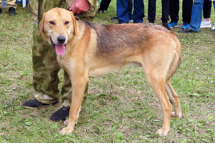 Гай Вараксин.JPG