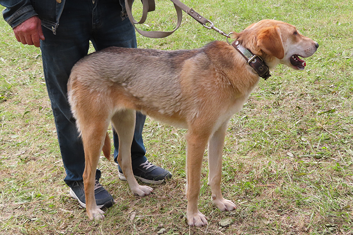 Певка Шалагин4539.JPG