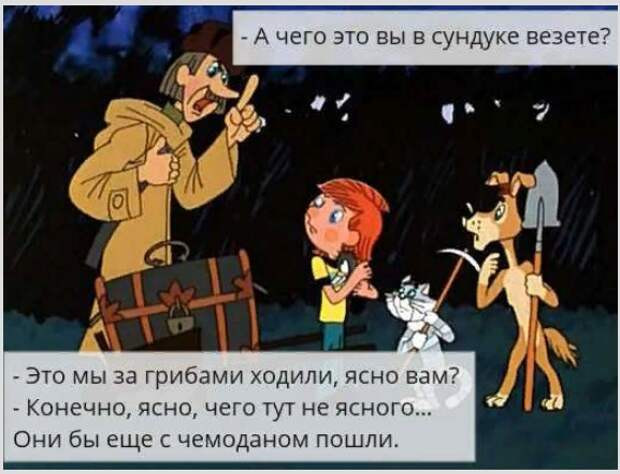 грибы чемодан.jpeg