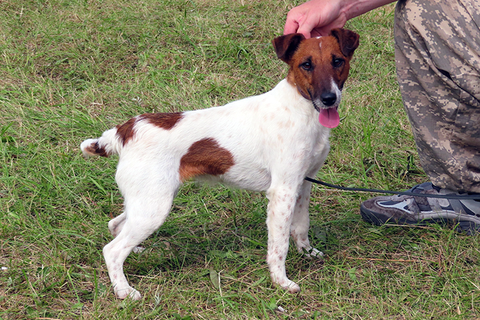 Ведьма Коновалов.JPG