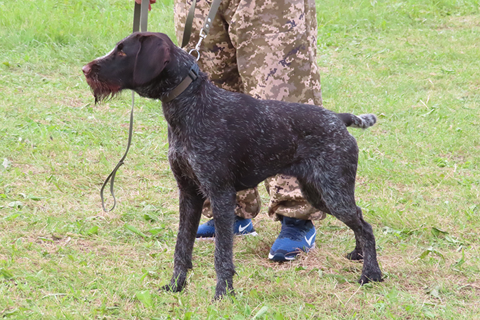 Грейс Казаков.JPG