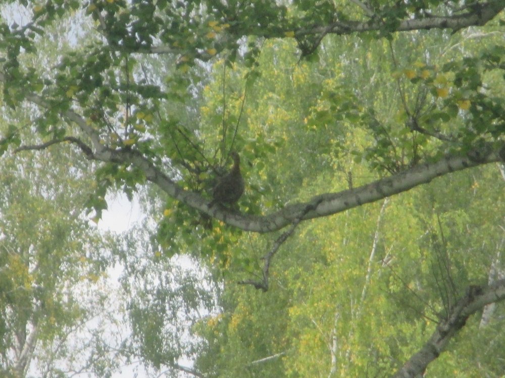 IMG_6435.JPG