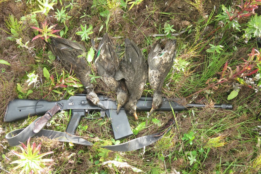 9 Сентября 2023г. 2023-09-09 001.JPG