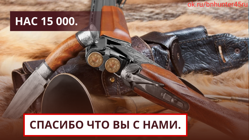 image_7303987_13963236.png