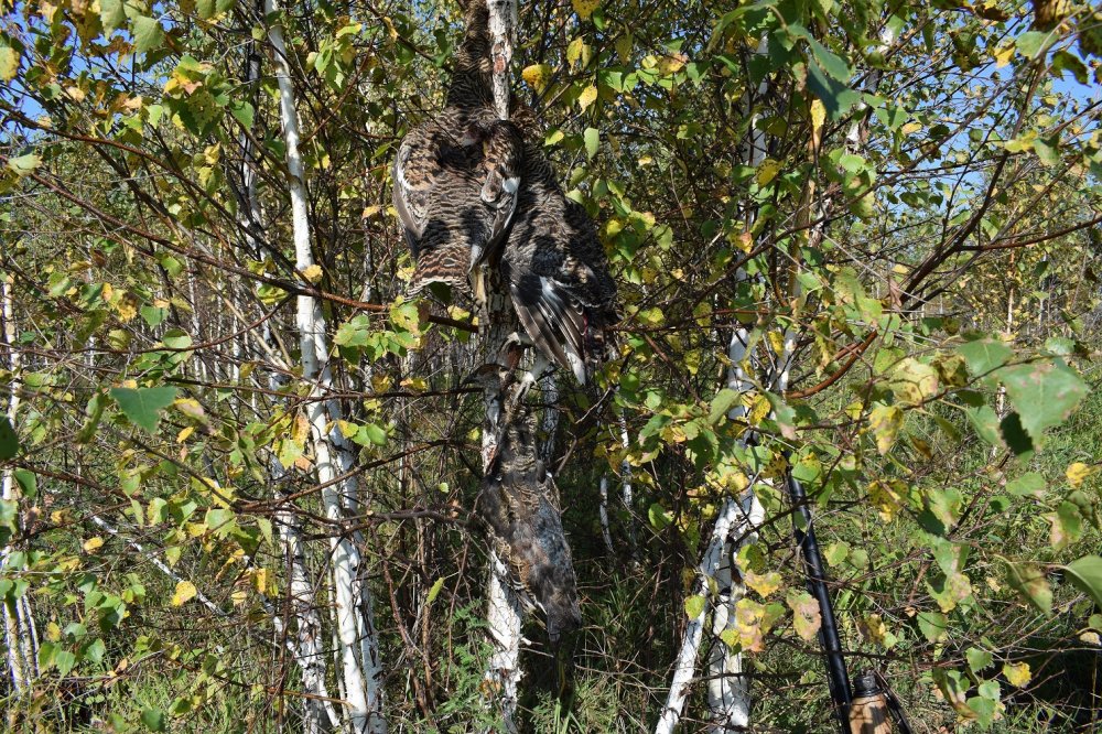 DSC_0382.JPG