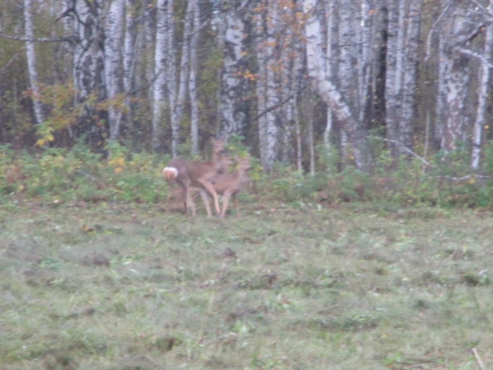 IMG_6571.JPG