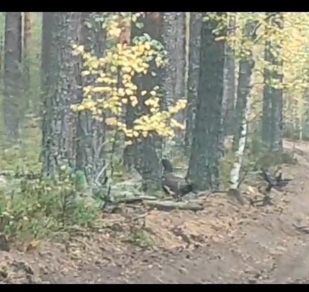 петя.jpg