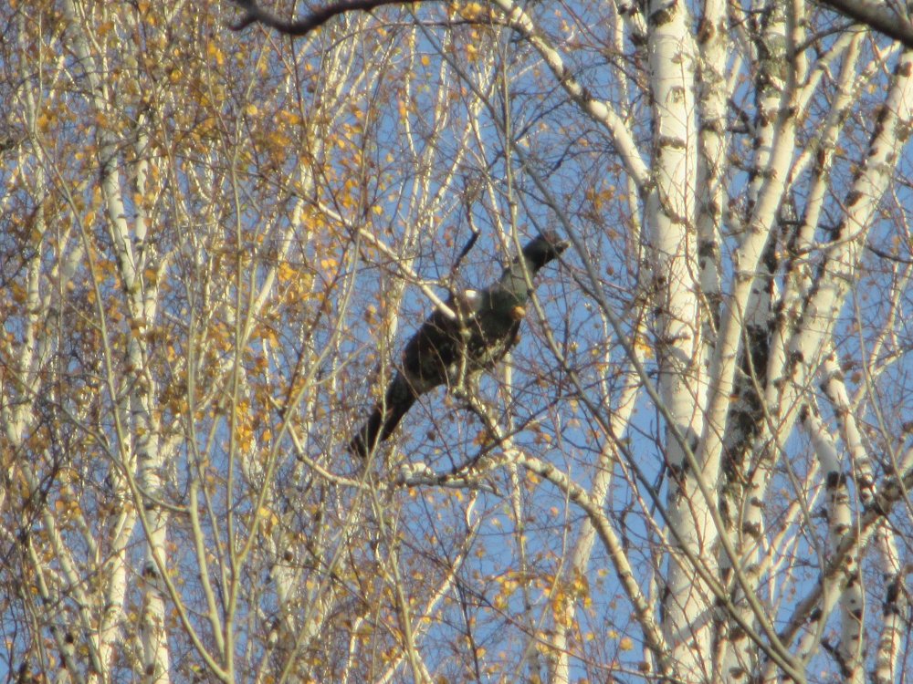 IMG_6669.JPG