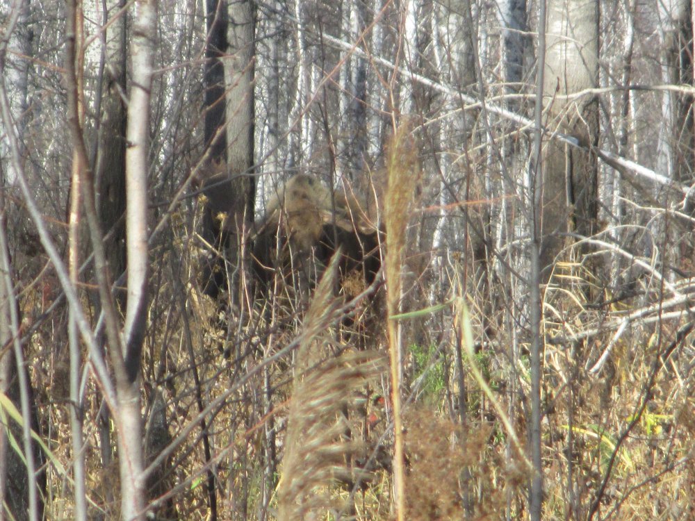 IMG_6755.JPG