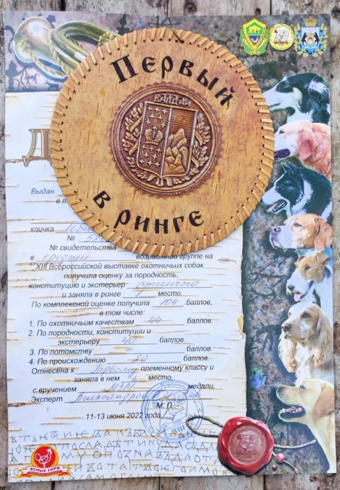 Первый в Ринге.jpg