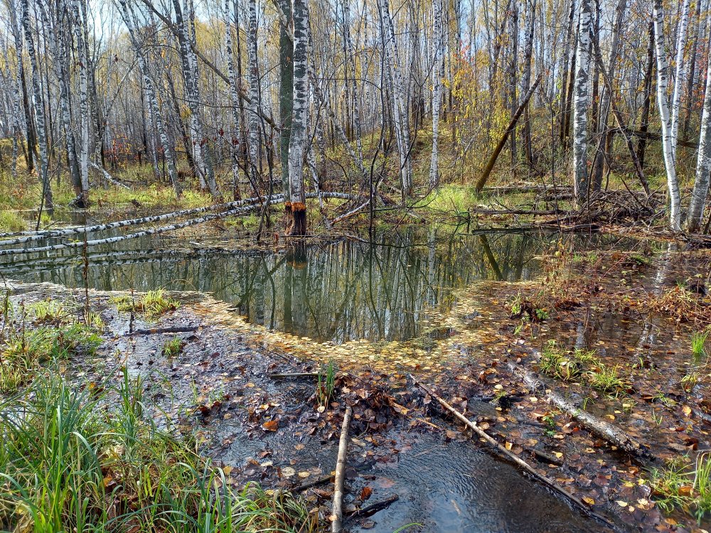 20200930_111711.jpg