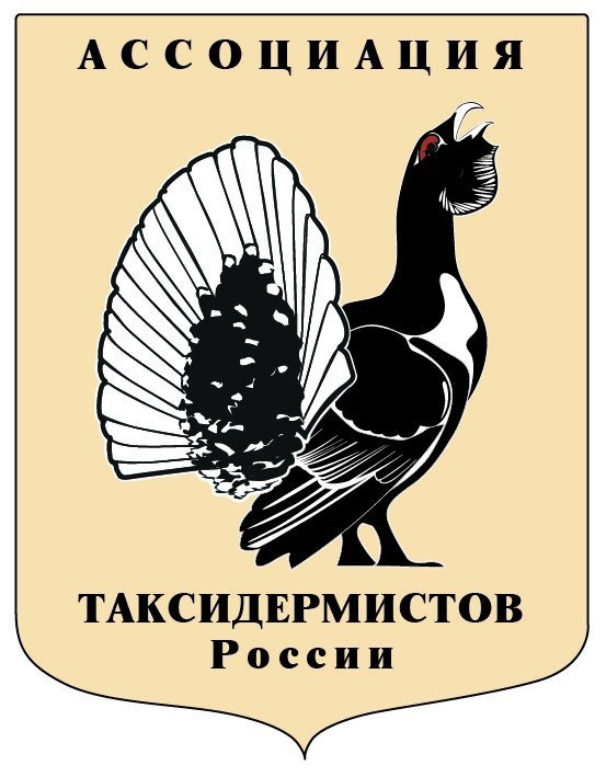 XGmbyUTcktI.jpg