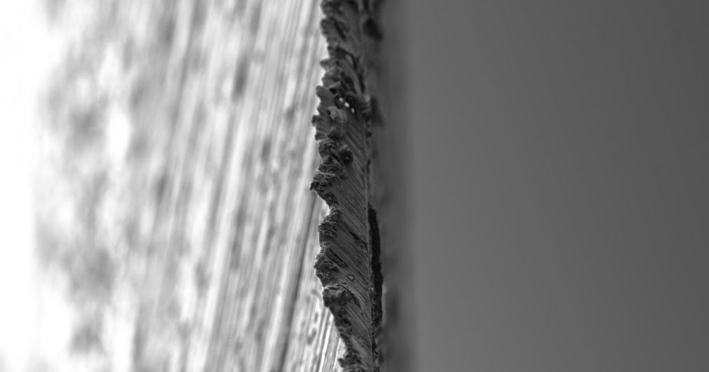 25055683_5430.jpg
