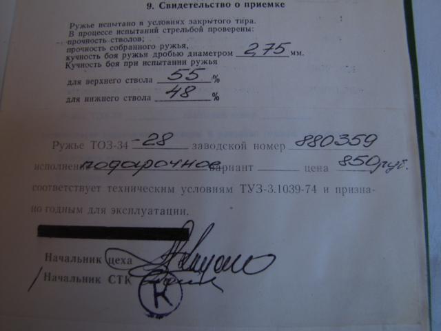 12867088.jpg