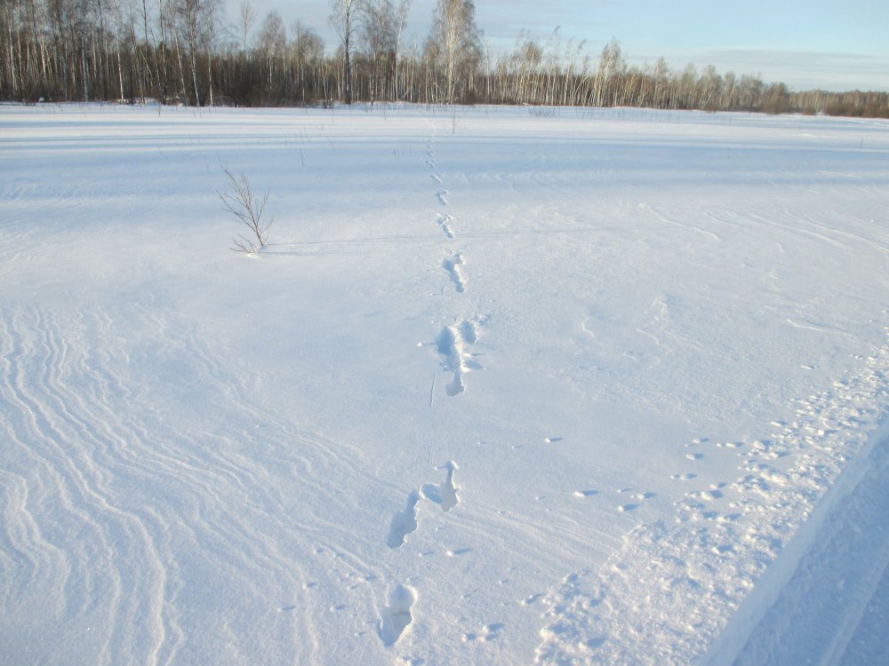 IMG_7126.JPG
