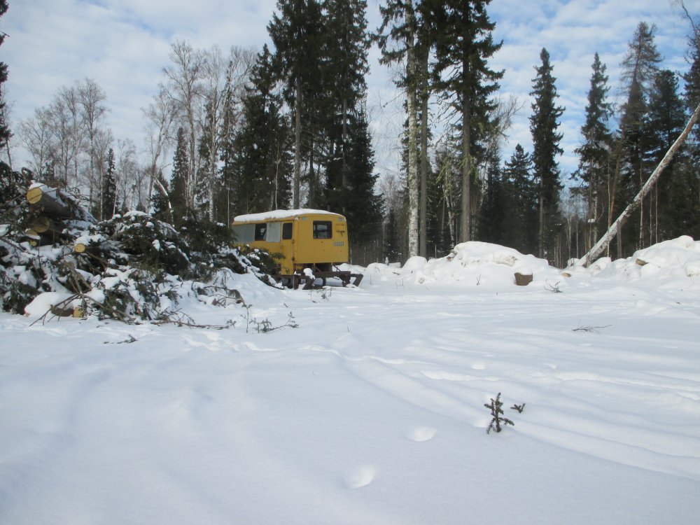 IMG_7247.JPG