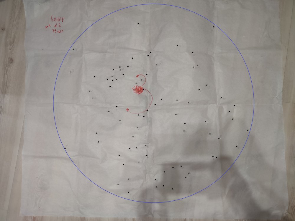 Бинар дробь 2 второй выстрел.jpg