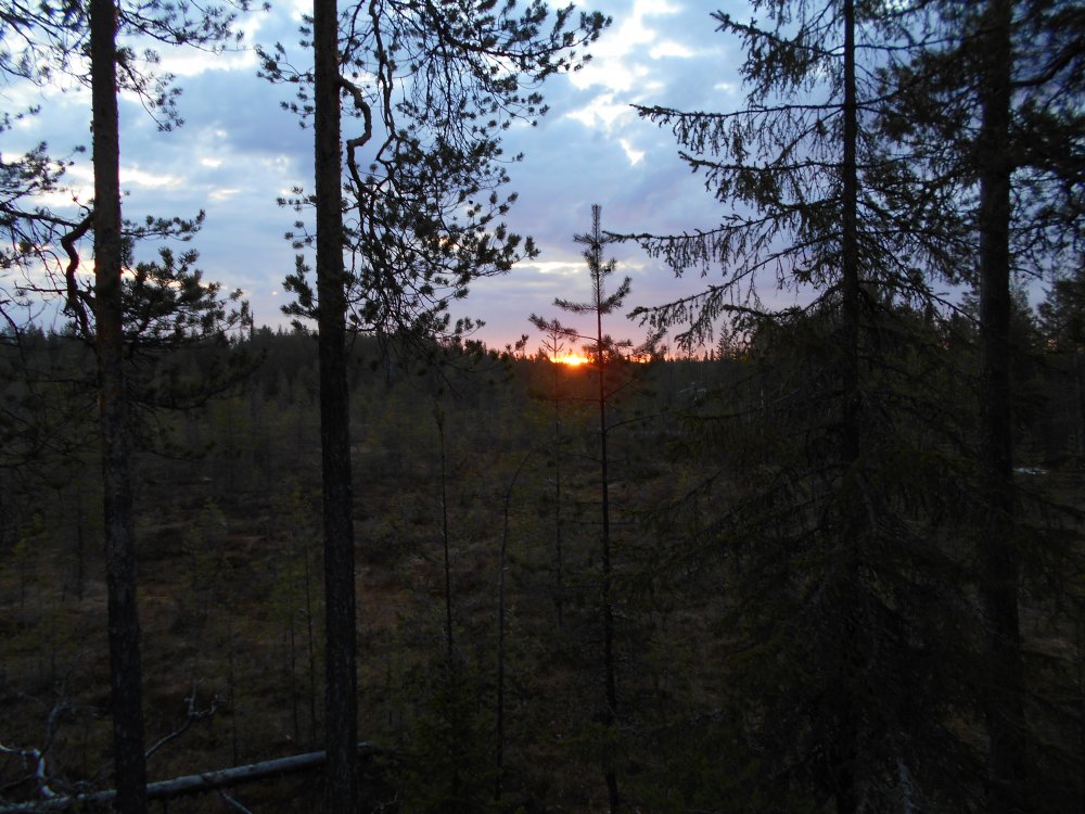 DSCN5029.jpg