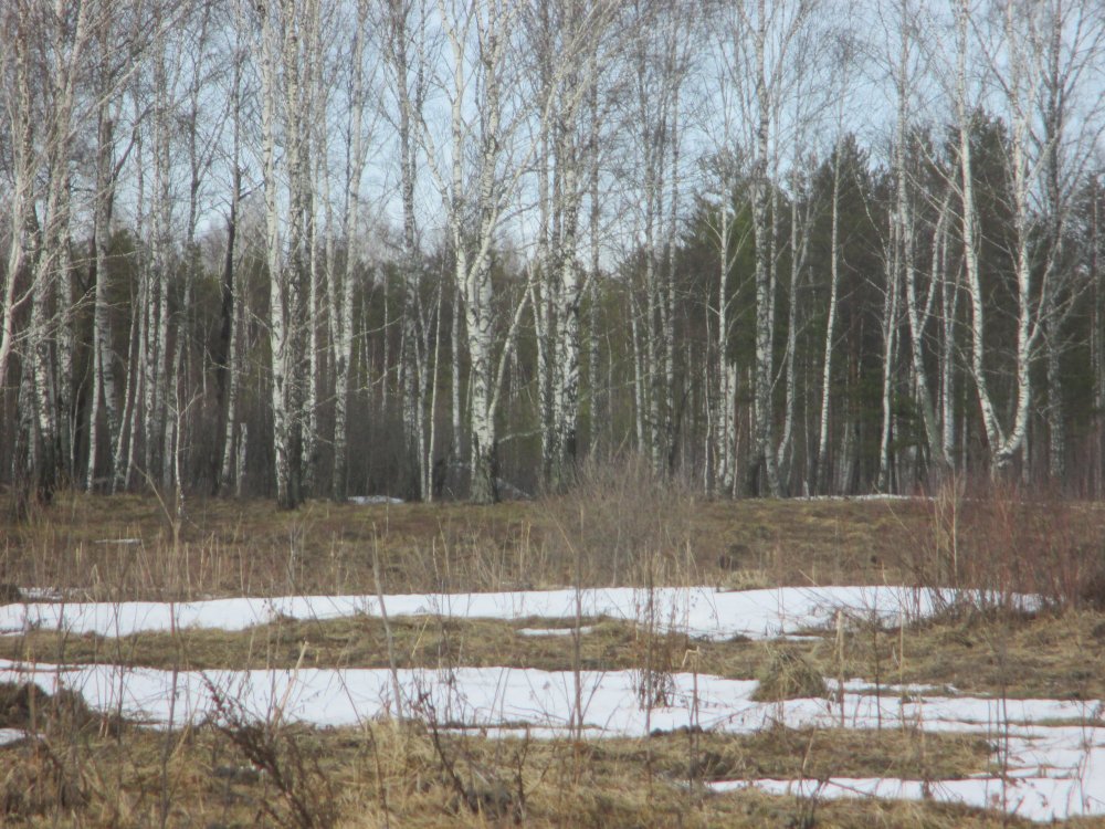 IMG_7367.JPG