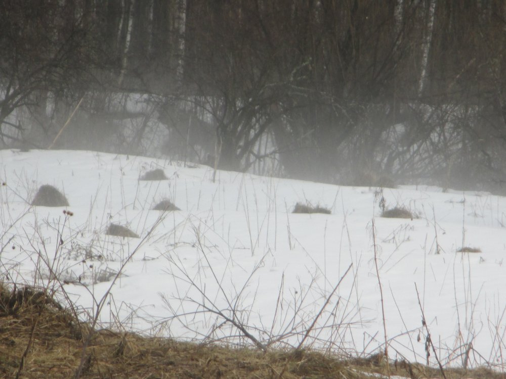 IMG_7365.JPG