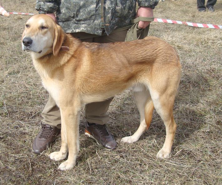 рг вц мл Рушай Воропаев Фото.JPG