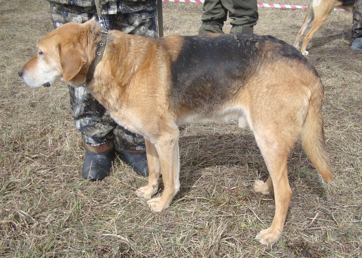 рг вц старш З-Граф Вязьмикин Фото.JPG